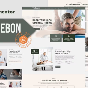 Tudebon - Chiropractic & Physiotherapy Elementor Template Kit