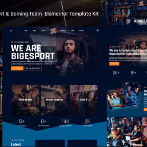 Bigesport - Esport & Gaming Team Elementor Template Kit