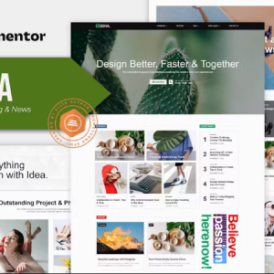 Zoya - Minimal Blog Elementor Template Kit